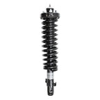 Suspension Strut and Coil Spring Assembly LS33-80171B
