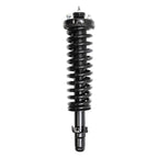 Suspension Strut and Coil Spring Assembly LS33-80171B