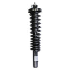 Suspension Strut and Coil Spring Assembly LS33-80271L