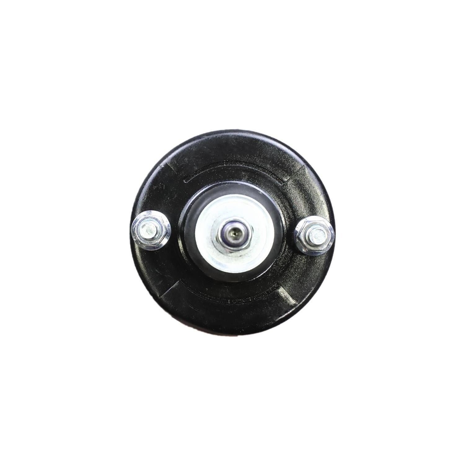 Suspension Strut and Coil Spring Assembly LS33-80271R