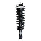 Suspension Strut and Coil Spring Assembly LS33-80301B
