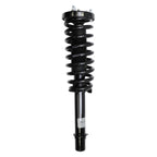 Suspension Strut and Coil Spring Assembly LS33-80311L