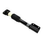Suspension Strut and Coil Spring Assembly LS33-80311R