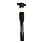 Suspension Strut and Coil Spring Assembly LS33-80311R
