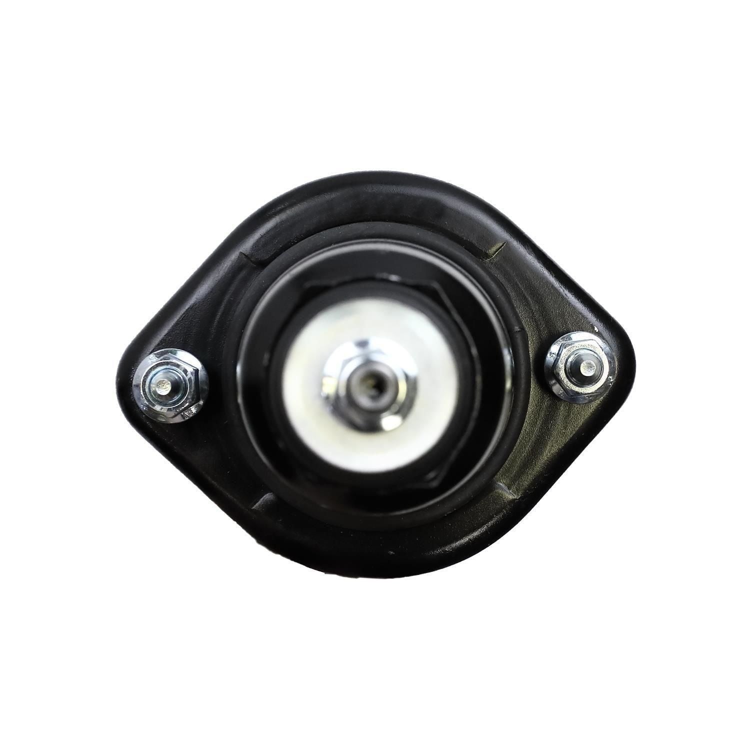 Suspension Strut and Coil Spring Assembly LS33-80372R