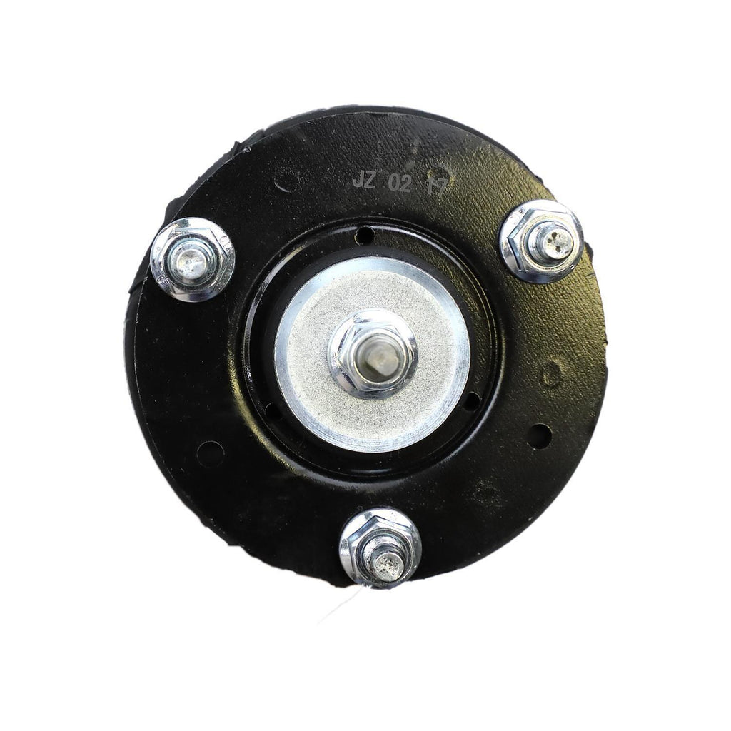 Suspension Strut and Coil Spring Assembly LS33-80411B