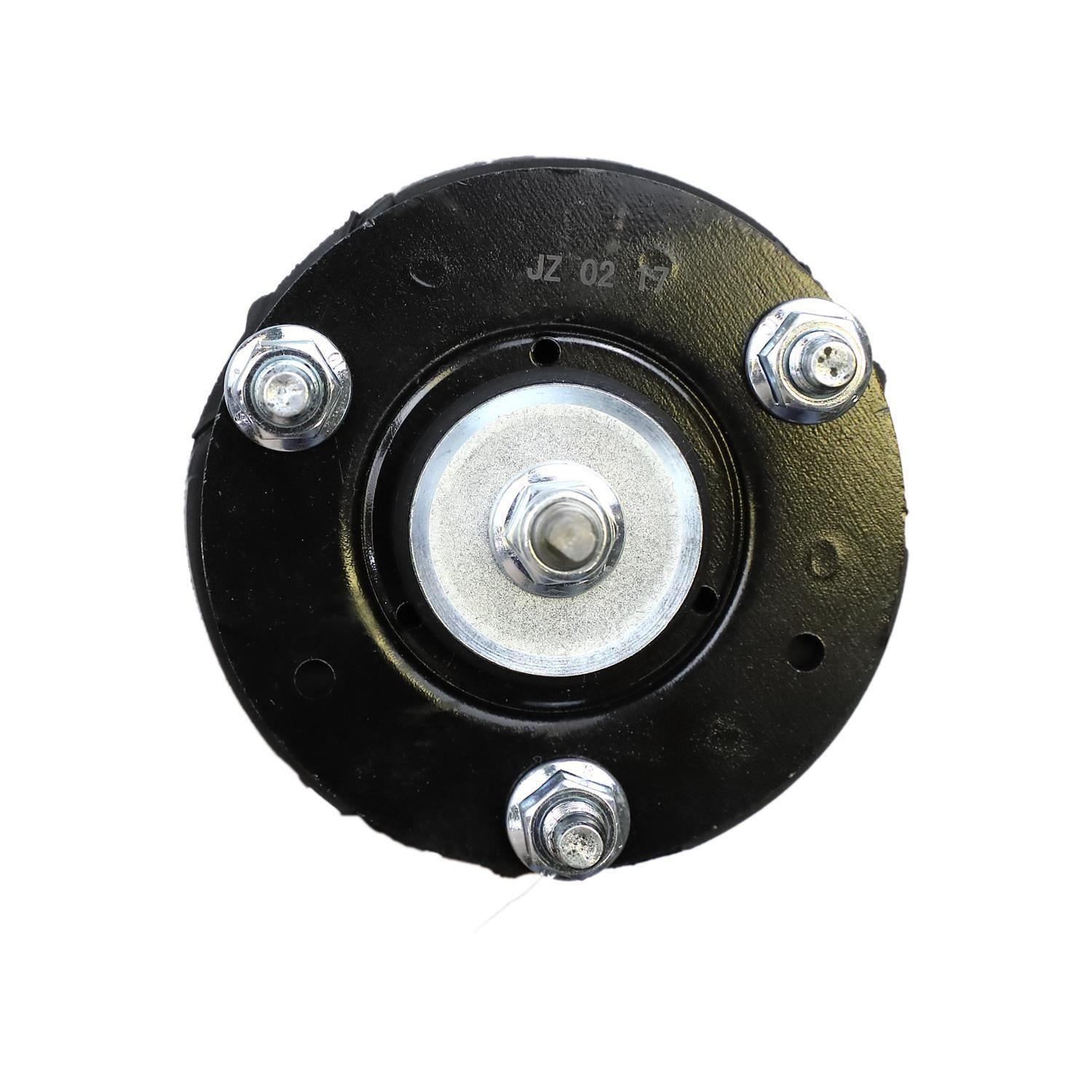 Suspension Strut and Coil Spring Assembly LS33-80411B
