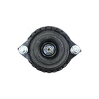 Suspension Strut and Coil Spring Assembly LS33-80422B