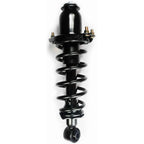 Suspension Strut and Coil Spring Assembly LS33-80432R