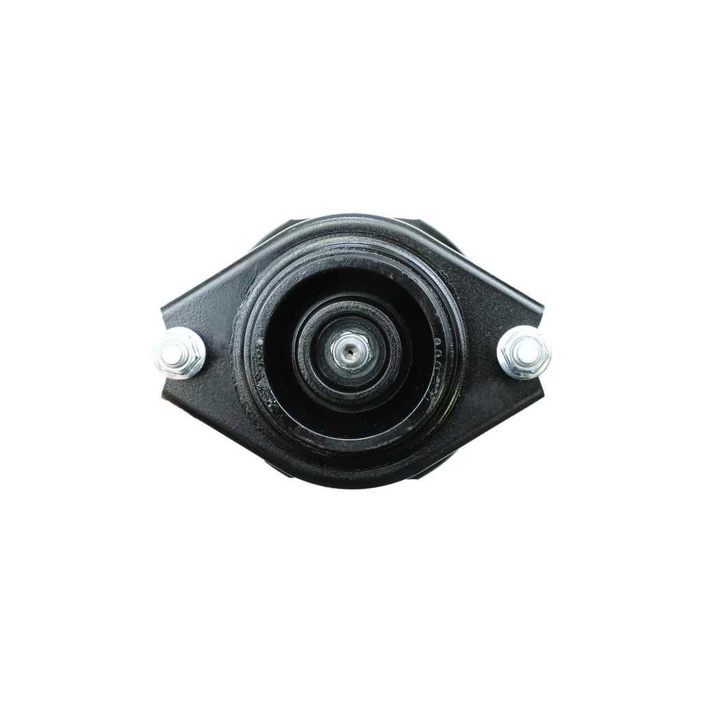 Loaded Strut Assembly LS33-80462B
