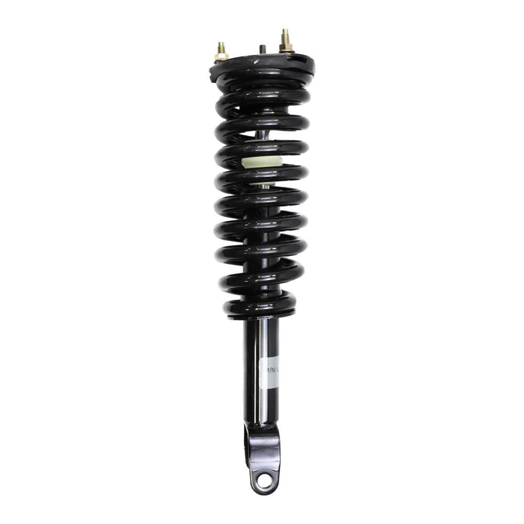 Suspension Strut and Coil Spring Assembly LS33-80481B