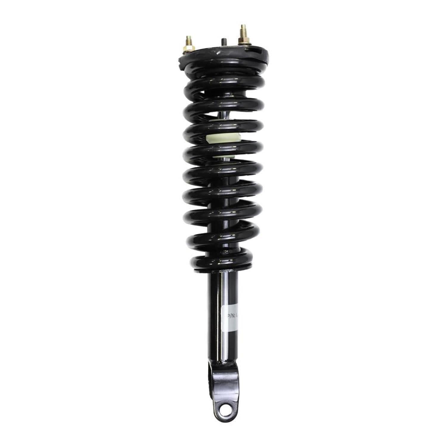 Suspension Strut and Coil Spring Assembly LS33-80481B