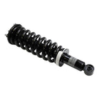 Suspension Strut and Coil Spring Assembly LS33-80501R