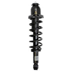 Suspension Strut and Coil Spring Assembly LS33-80612L