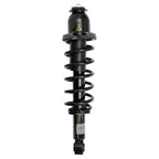 Suspension Strut and Coil Spring Assembly LS33-80612R