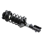 Suspension Strut and Coil Spring Assembly LS33-80741L