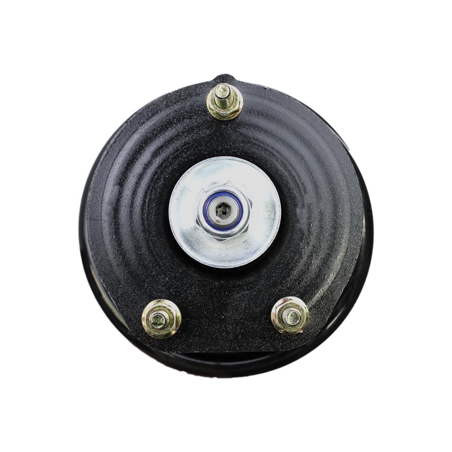 Suspension Strut and Coil Spring Assembly LS33-80751B