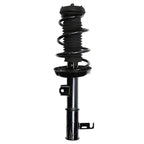 Suspension Strut and Coil Spring Assembly LS33-80801L