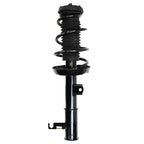 Suspension Strut and Coil Spring Assembly LS33-80801R