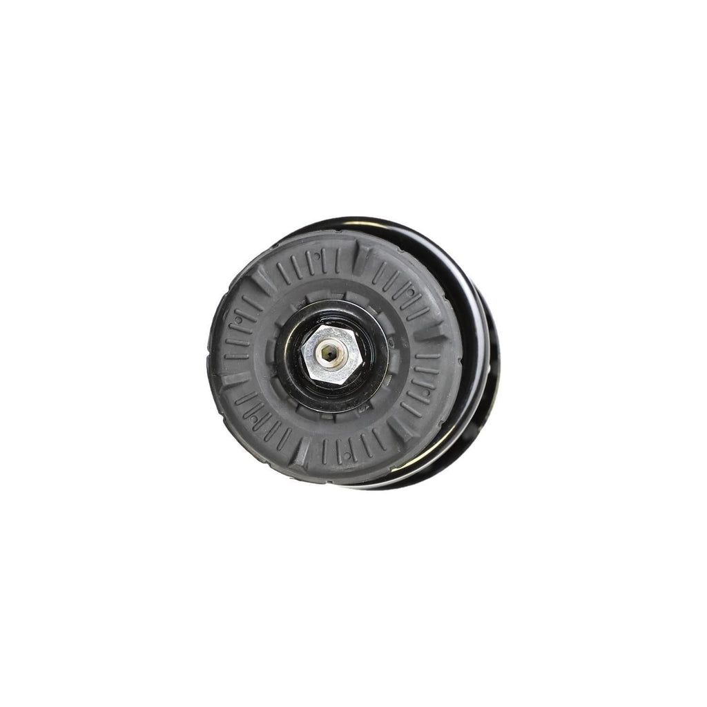 Suspension Strut and Coil Spring Assembly LS33-80801R
