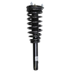 Suspension Strut and Coil Spring Assembly LS33-80831B