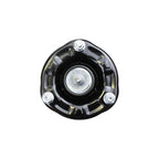 Suspension Strut and Coil Spring Assembly LS33-80831B