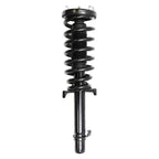 Suspension Strut and Coil Spring Assembly LS33-80871L