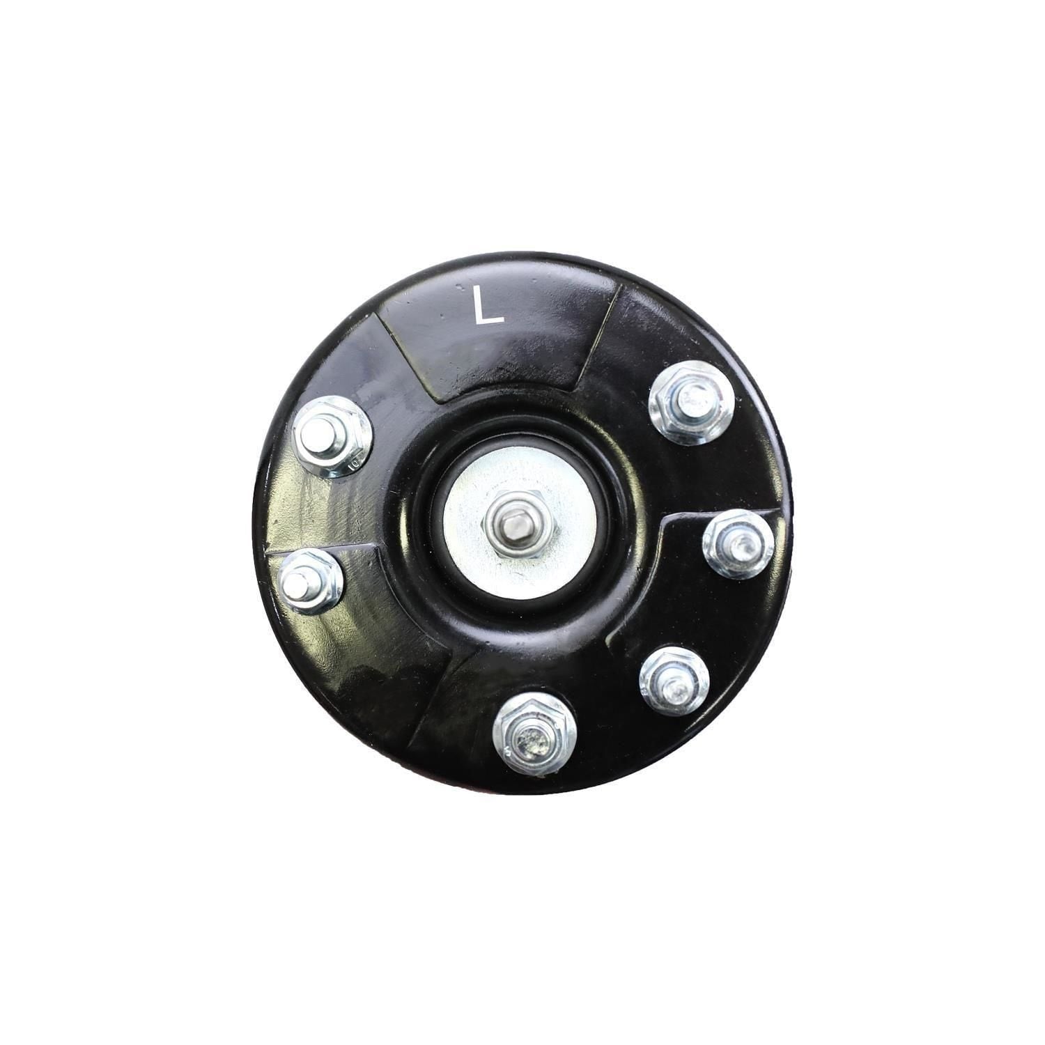 Suspension Strut and Coil Spring Assembly LS33-80871L