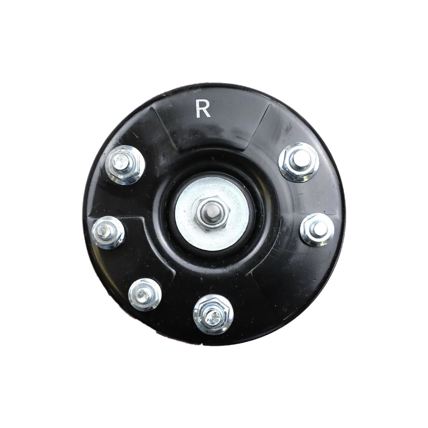 Suspension Strut and Coil Spring Assembly LS33-80871R