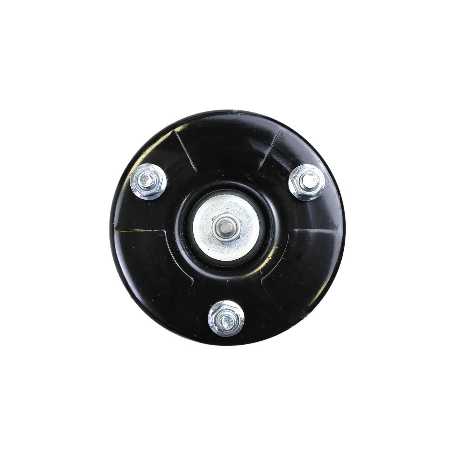 Suspension Strut and Coil Spring Assembly LS33-80881R