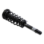 Suspension Strut and Coil Spring Assembly LS33-80901L