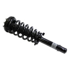 Suspension Strut and Coil Spring Assembly LS33-80901R