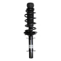 Suspension Strut and Coil Spring Assembly LS33-80911B