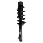 Suspension Strut and Coil Spring Assembly LS33-80911B