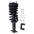 Gold Strut LS33-80931BG