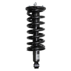 Suspension Strut and Coil Spring Assembly LS33-81001B