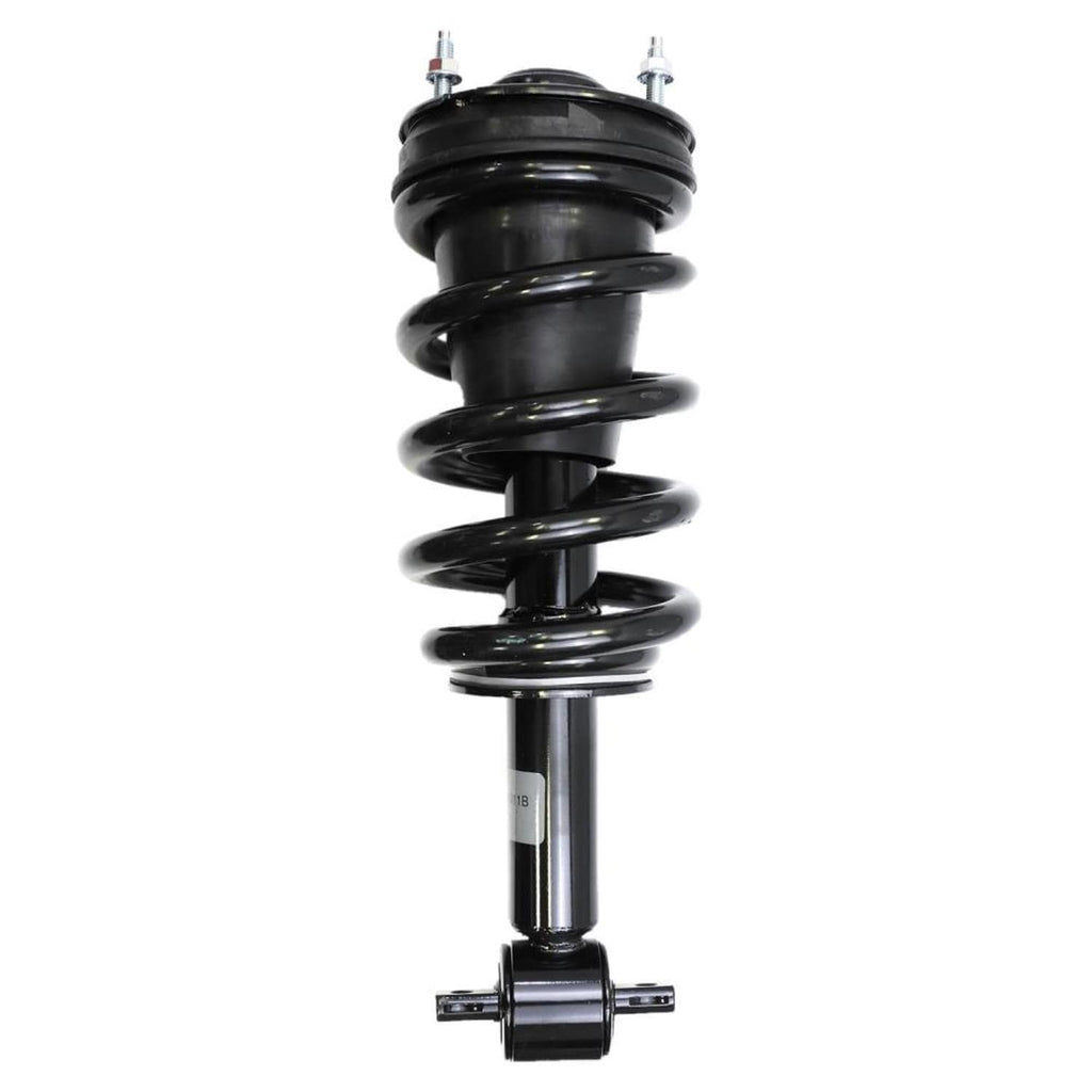 Suspension Strut and Coil Spring Assembly LS33-81011B