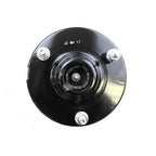 Suspension Strut and Coil Spring Assembly LS33-81011B