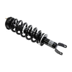 Suspension Strut and Coil Spring Assembly LS33-81021B