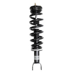 Suspension Strut and Coil Spring Assembly LS33-81021B