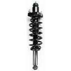 Suspension Strut and Coil Spring Assembly LS33-81032B