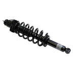 Suspension Strut and Coil Spring Assembly LS33-81032B