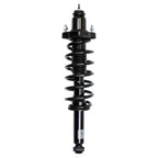 Suspension Strut and Coil Spring Assembly LS33-81032B