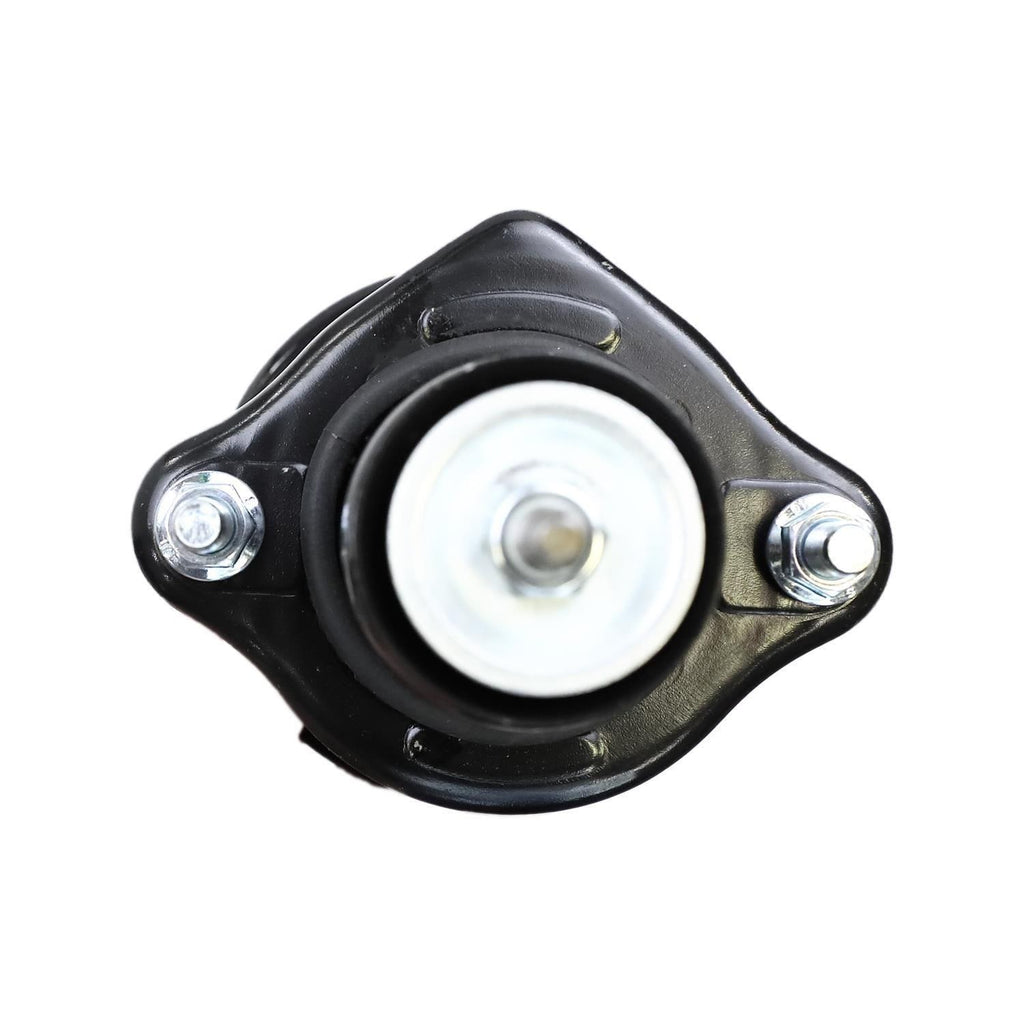 Loaded Strut Assembly LS33-81042B