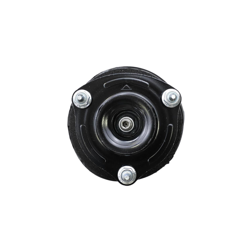 Loaded Strut Assembly LS33-81091L