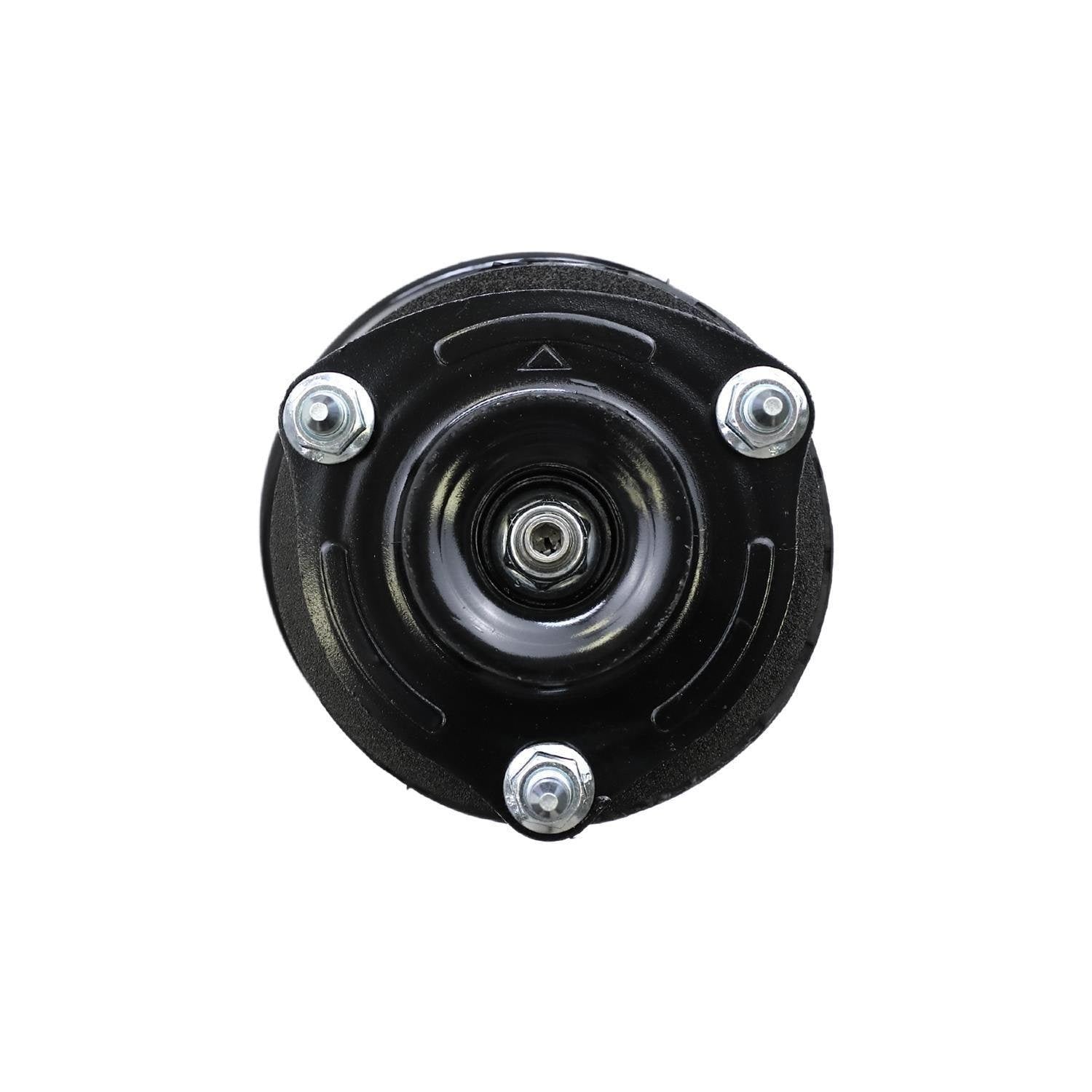Loaded Strut Assembly LS33-81091R