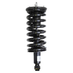 Suspension Strut and Coil Spring Assembly LS33-81141B
