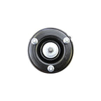 Suspension Strut and Coil Spring Assembly LS33-81141B