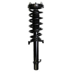 Suspension Strut and Coil Spring Assembly LS33-81161L