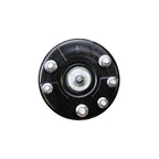 Suspension Strut and Coil Spring Assembly LS33-81161L